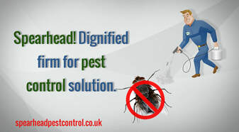 Spearhead pest control services UK