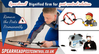 Pest Control Services | Spearhead