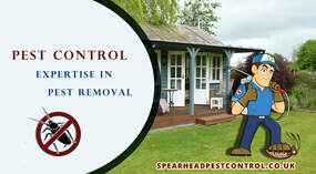 Spearhead | Pest control services